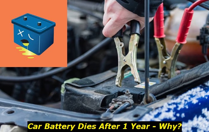 car battery dies after 1 year